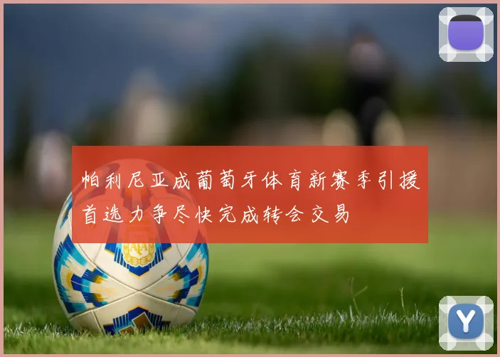 帕利尼亚成葡萄牙体育新赛季引援首选力争尽快完成转会交易